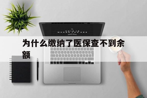 平阳最新为什么缴纳了医保查不到余额方法分析(最方便真实的平阳医保交了费怎么查不到方法)